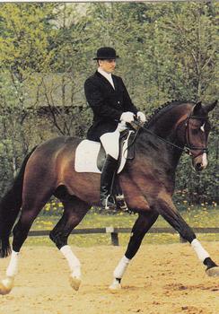 1995 Collect-A-Card Equestrian #184 Lars Petersen / Romancier Front